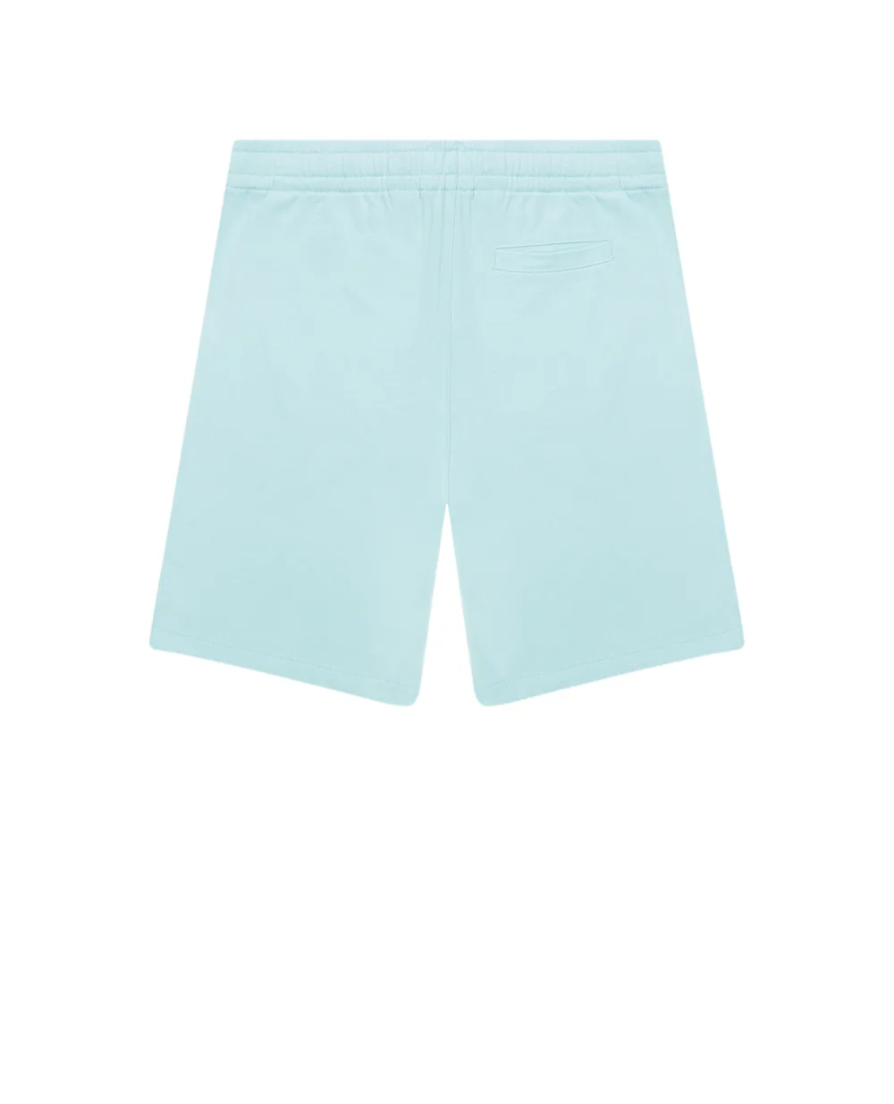 Детские шорты Polo Ralph Lauren Kids 323902386005, голубой цвет • Купить в интернет-магазине Kameron