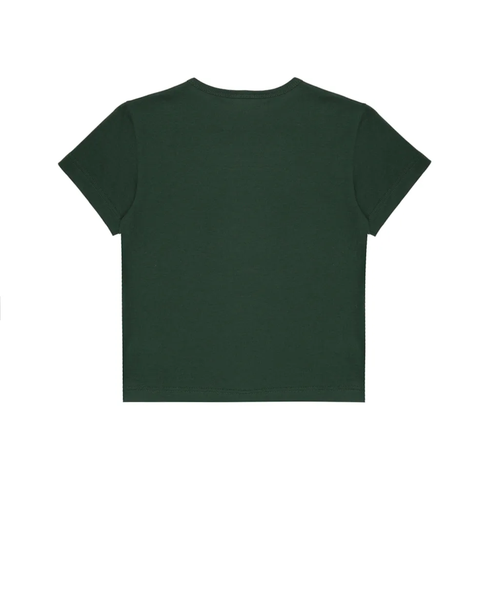 Футболка Dolce&Gabbana Kids L4JT7T-G7OLK-S-, зеленый цвет • Купить в интернет-магазине Kameron