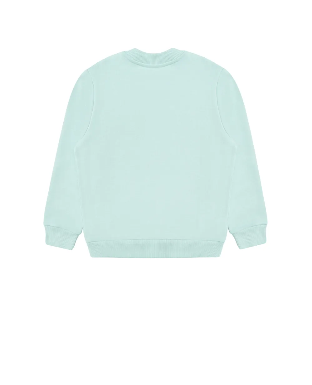 Свитшот Dolce&Gabbana Kids L4JW7H-G7OLJ-B, мятный цвет • Купить в интернет-магазине Kameron
