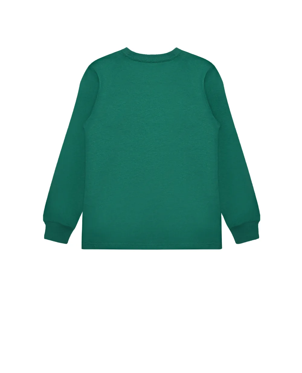 Детский лонгслив Polo Ralph Lauren Kids 321883623002, зеленый цвет • Купить в интернет-магазине Kameron