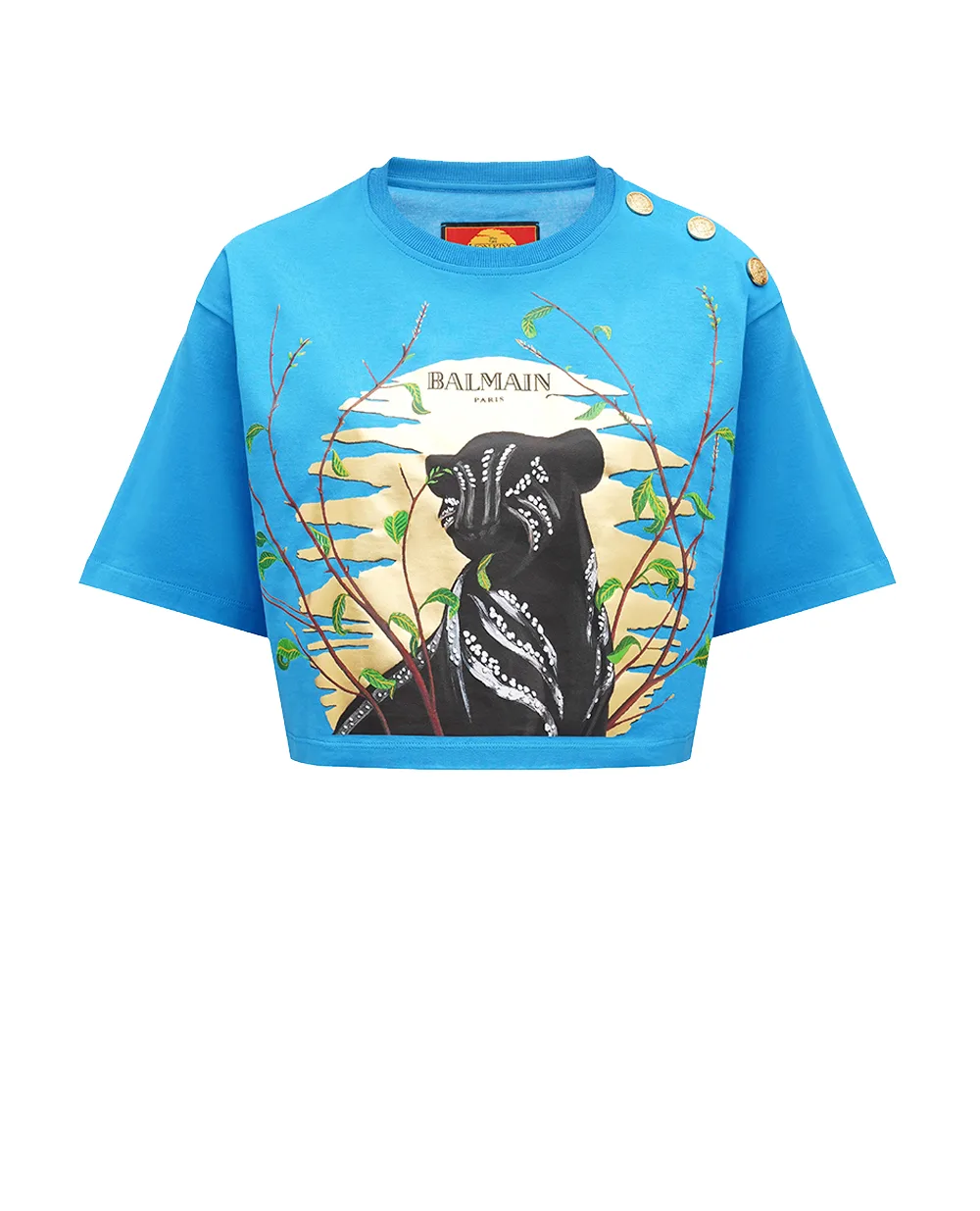 Футболка Balmain DFAEE024GD99, синій колір • Купити в інтернет-магазині Kameron