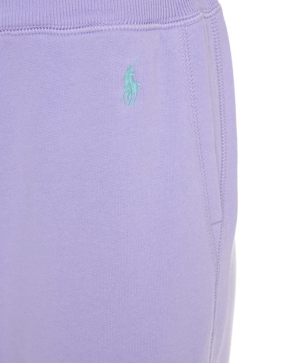 Спортивные брюки Polo Ralph Lauren 211794397020, сиреневый цвет • Купить в интернет-магазине Kameron