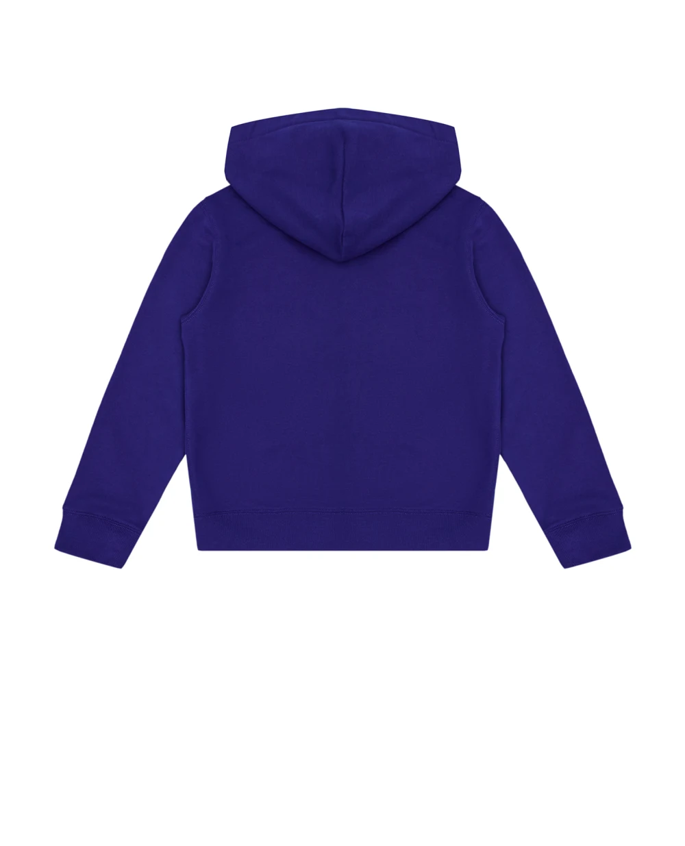 Детский худи (костюм) Polo Ralph Lauren Kids 322919830001, синий цвет • Купить в интернет-магазине Kameron