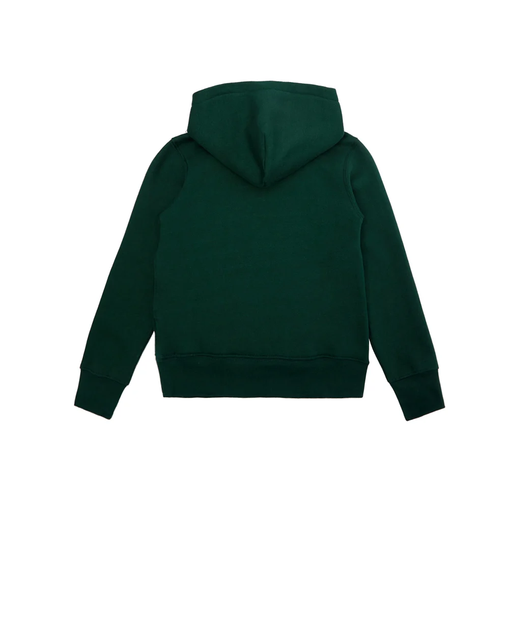 Худи Polo Ralph Lauren Kids 321853795005, зеленый цвет • Купить в интернет-магазине Kameron