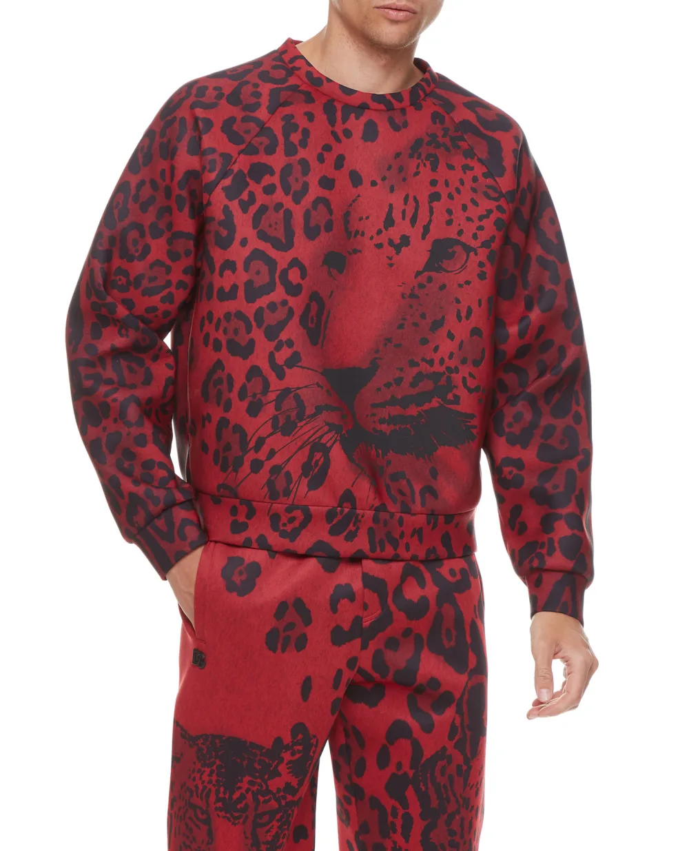 Свитшот Dolce&Gabbana G9WL9T-FHMJL, бордовый цвет • Купить в интернет-магазине Kameron