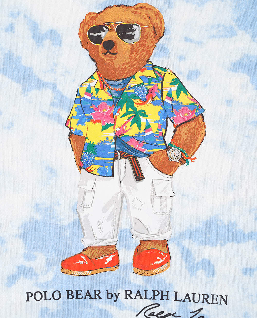 Детское худи Polo Bear Polo Ralph Lauren Kids 323936588001, голубой цвет • Купить в интернет-магазине Kameron