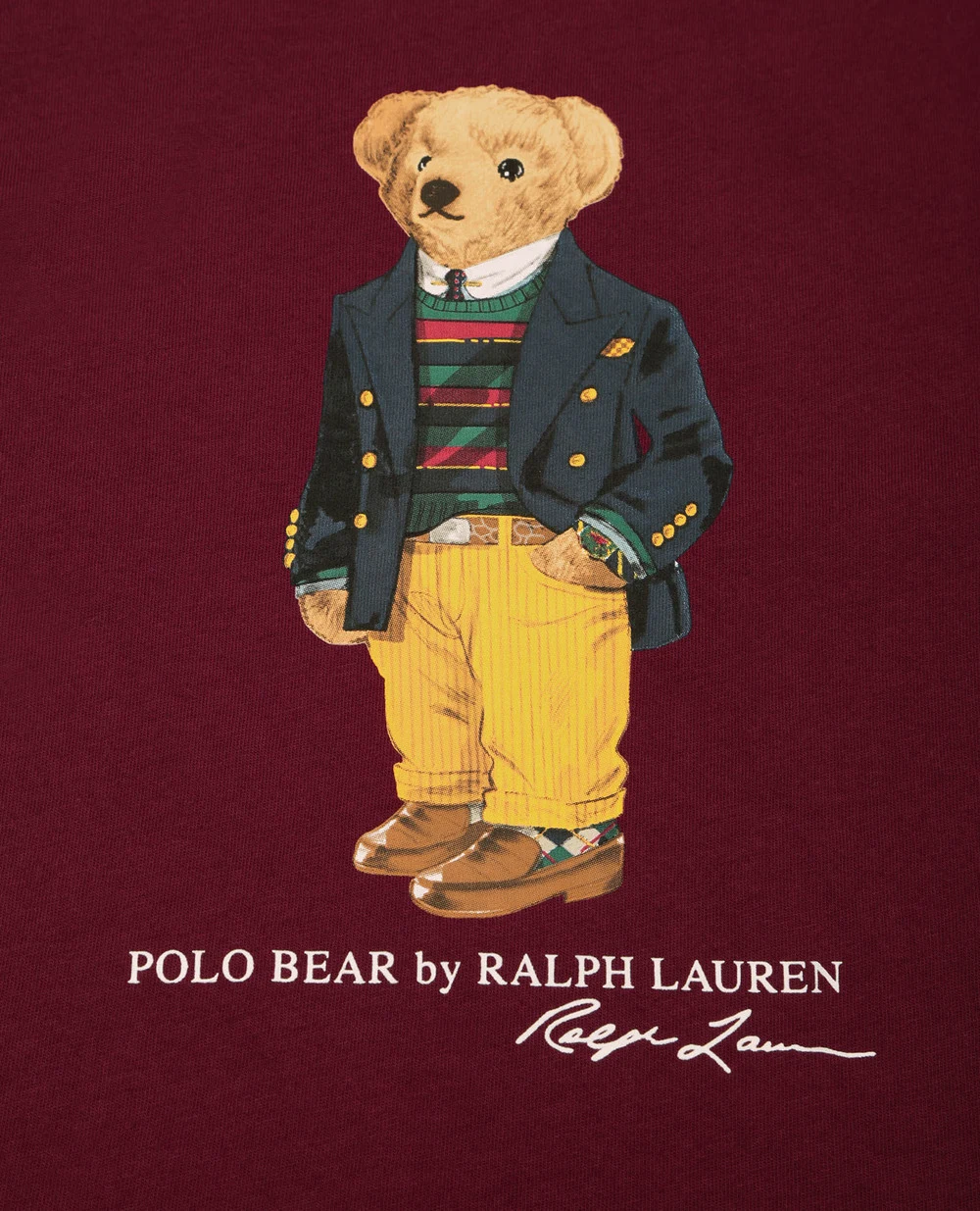 Футболка Polo Ralph Lauren Kids 321853828007, бордовый цвет • Купить в интернет-магазине Kameron