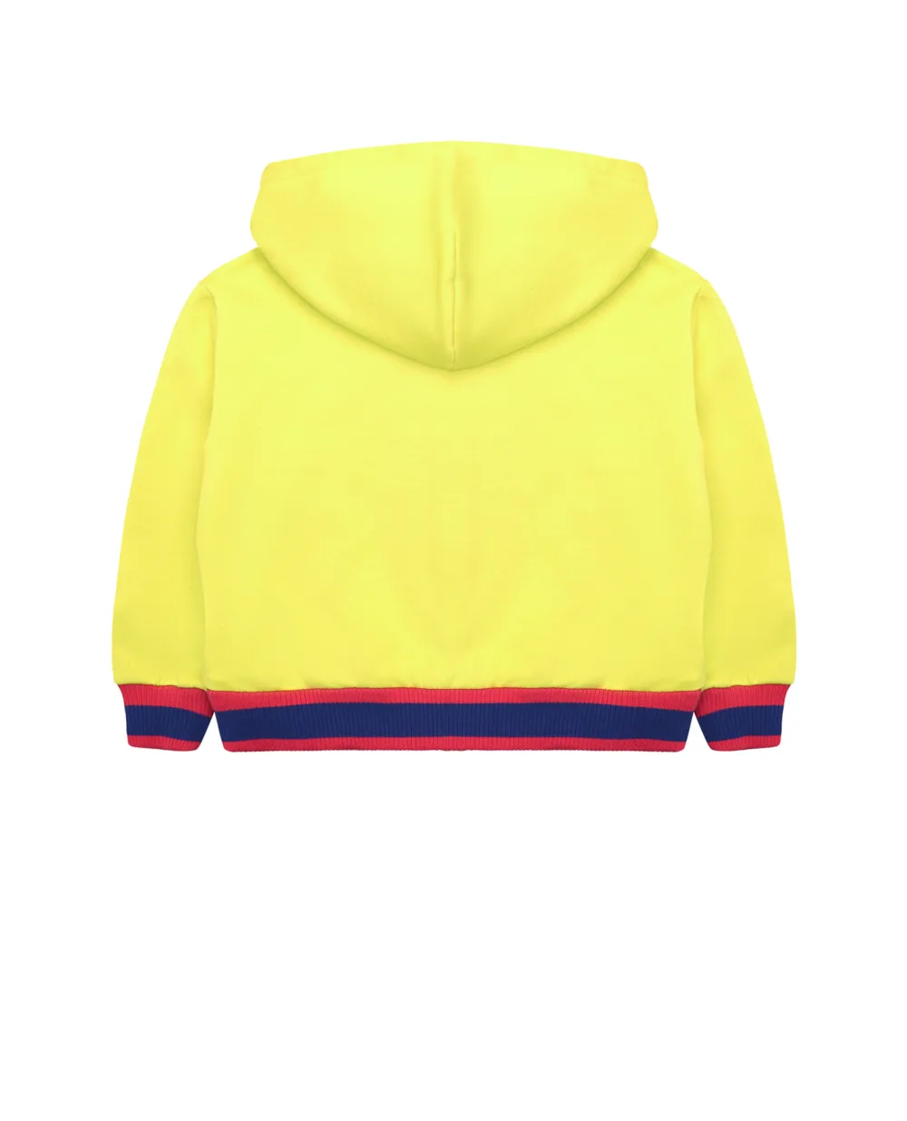 Худи Dolce&Gabbana Kids L5JW6L-G7CGK-B, салатовый цвет • Купить в интернет-магазине Kameron
