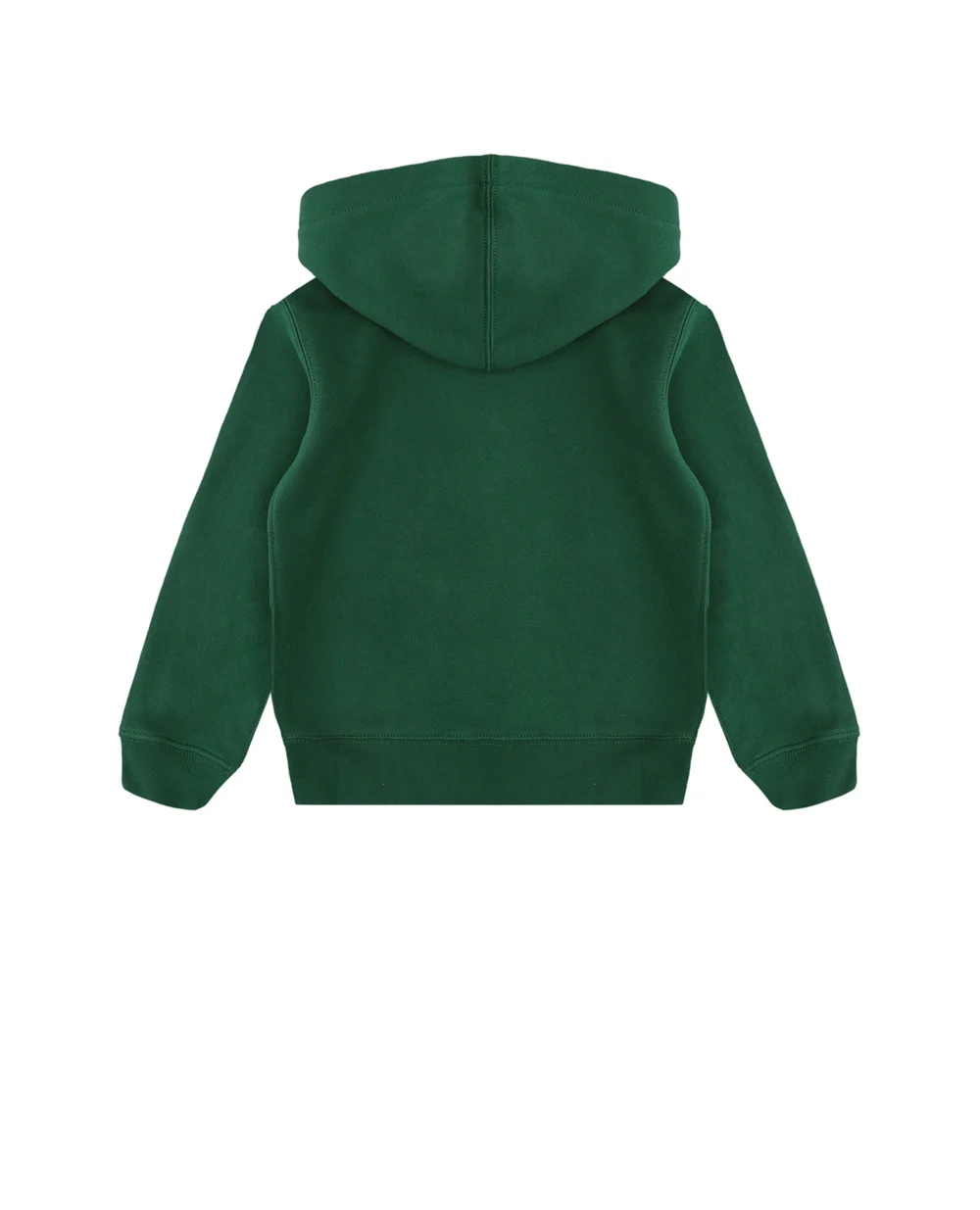 Худи Polo Ralph Lauren Kids 323749952003, зеленый цвет • Купить в интернет-магазине Kameron