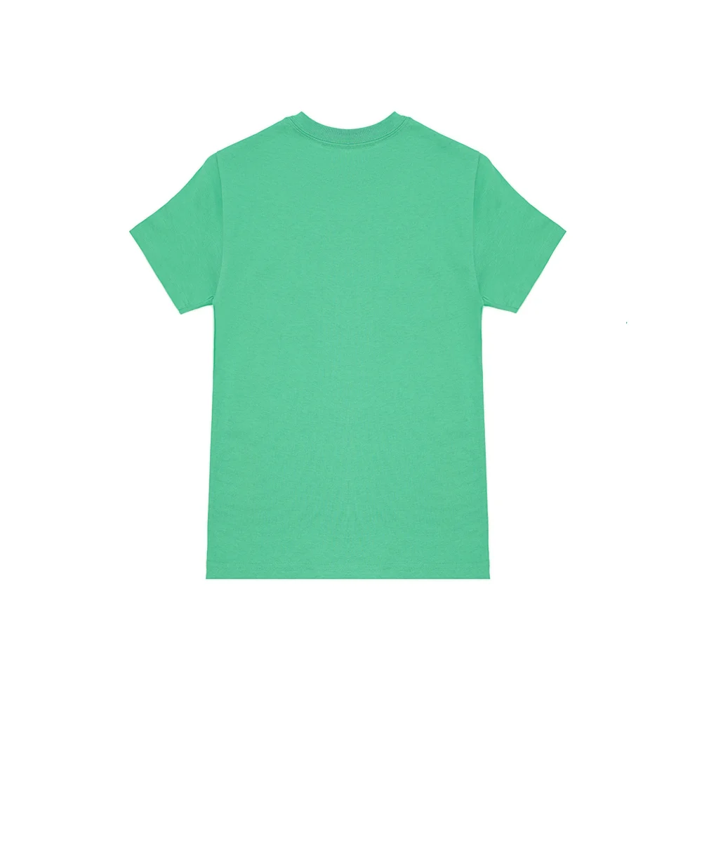 Детская футболка Polo Bear Polo Ralph Lauren Kids 323853828029, зеленый цвет • Купить в интернет-магазине Kameron
