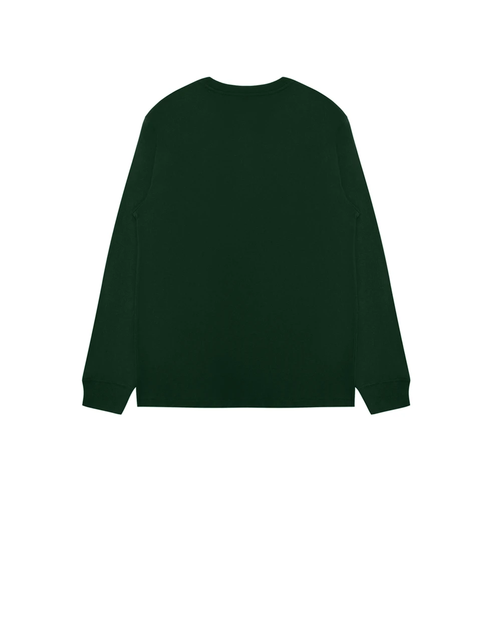 Лонгслив Polo Ralph Lauren Kids 322852014004, зеленый цвет • Купить в интернет-магазине Kameron