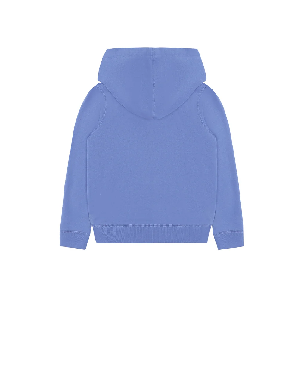Худи Polo Ralph Lauren Kids 311853426001, голубой цвет • Купить в интернет-магазине Kameron