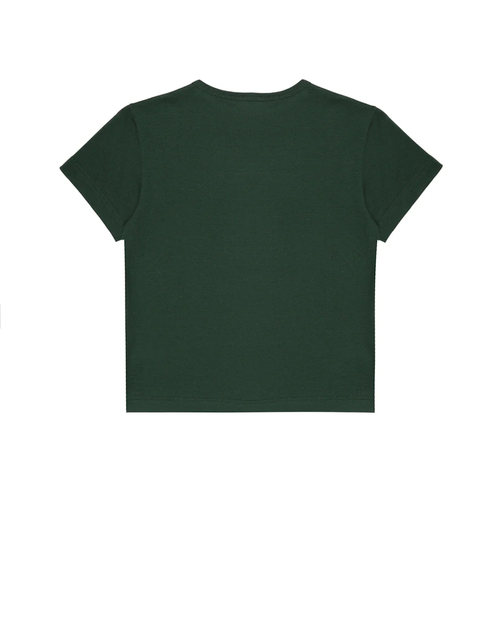 Детская футболка Dolce&Gabbana Kids L4JT7T-G7OLK-B-, зеленый цвет • Купить в интернет-магазине Kameron