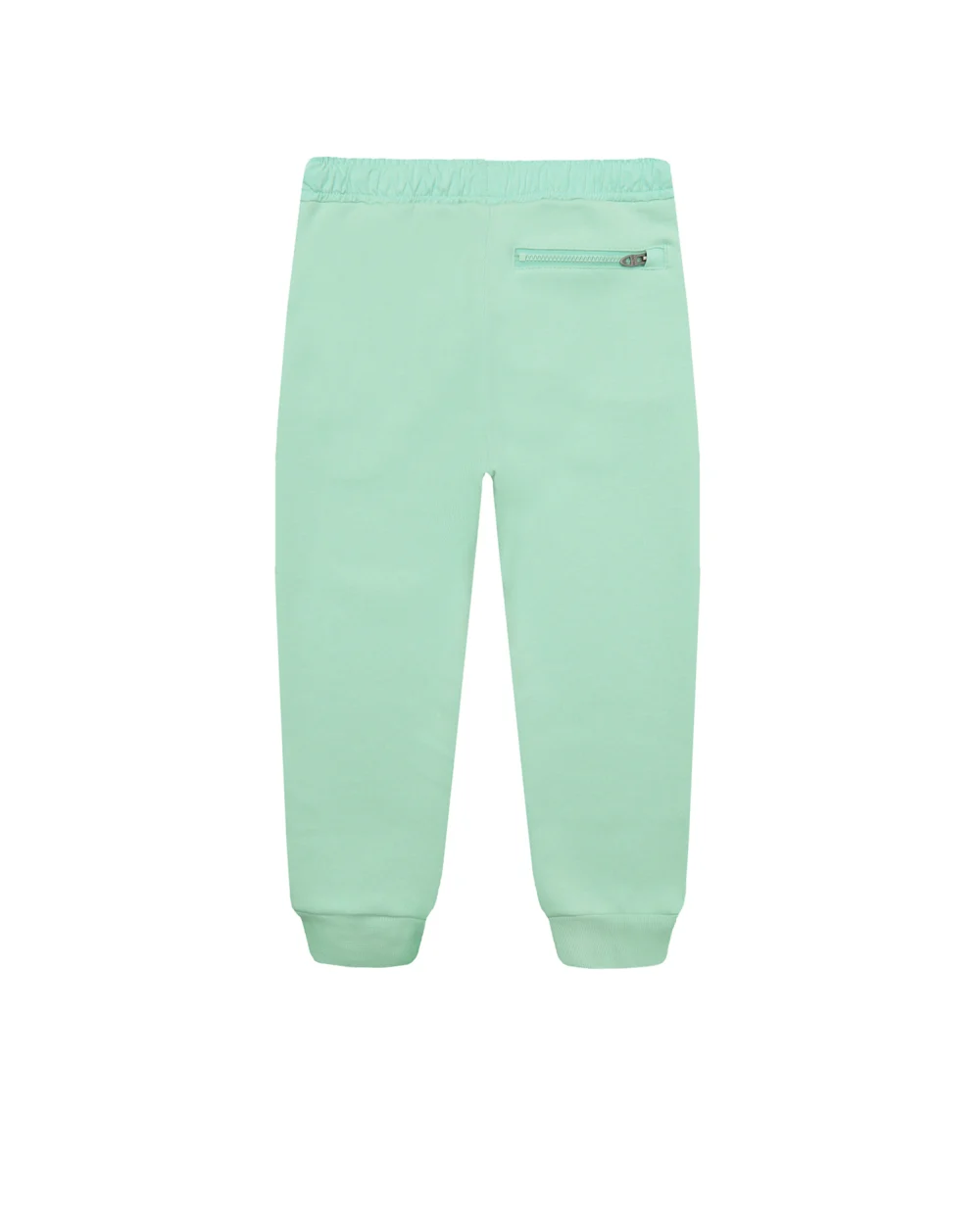 Детские спортивные брюки Polo Ralph Lauren Kids 321861447001, мятный цвет • Купить в интернет-магазине Kameron