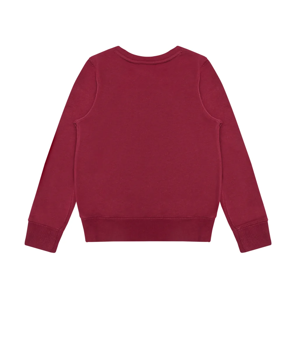 Детский свитшот Polo Bear Polo Ralph Lauren Kids 312877863002, бордовый цвет • Купить в интернет-магазине Kameron