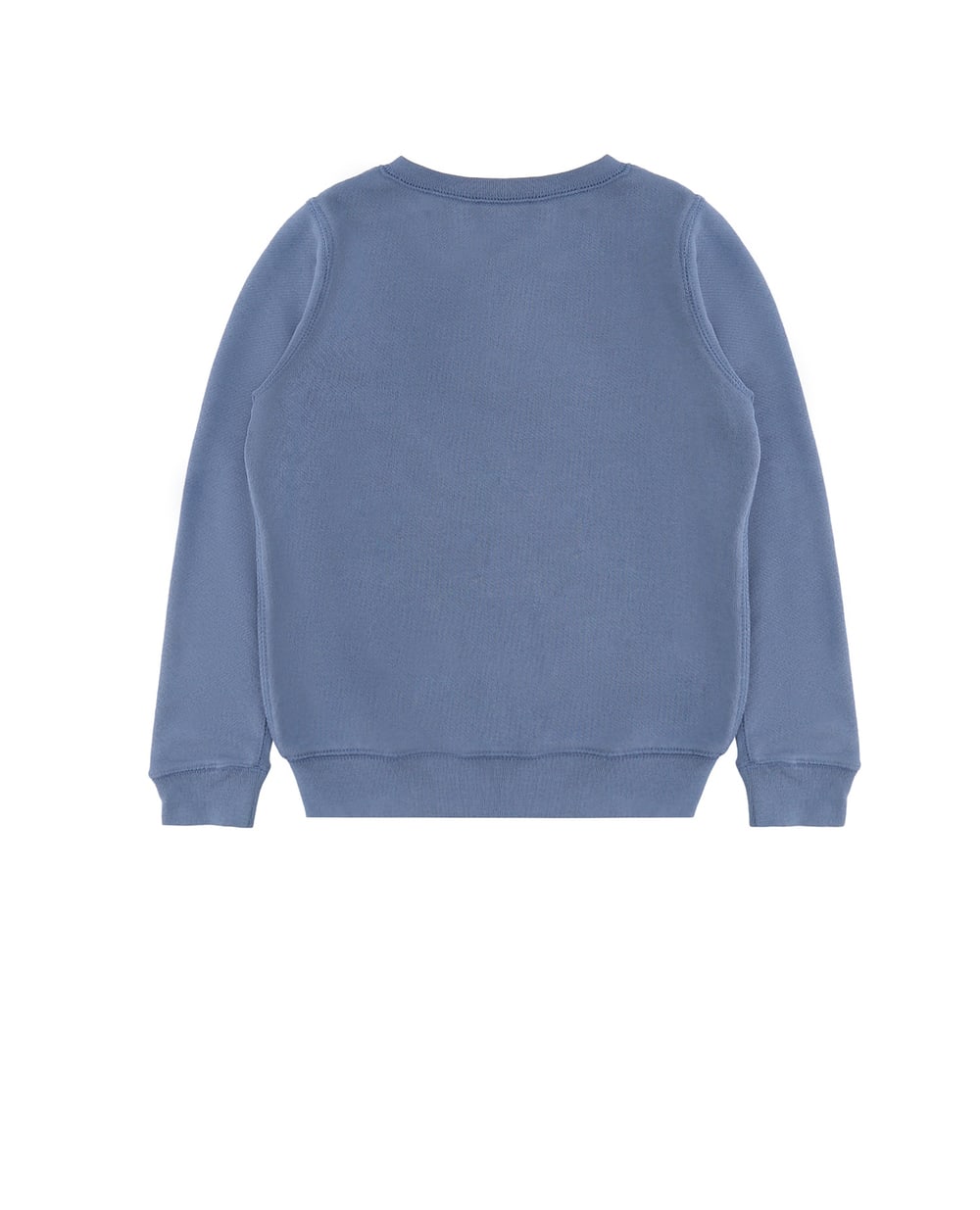 Свитшот Polo Ralph Lauren Kids 313740407001, голубой цвет • Купить в интернет-магазине Kameron