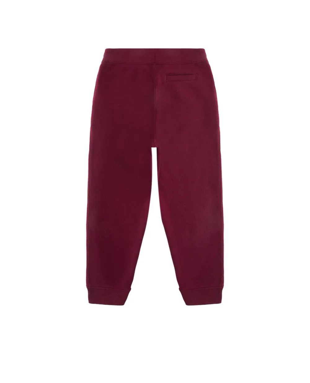 Спортивные брюки Polo Ralph Lauren Kids 321761656002, бордовый цвет • Купить в интернет-магазине Kameron