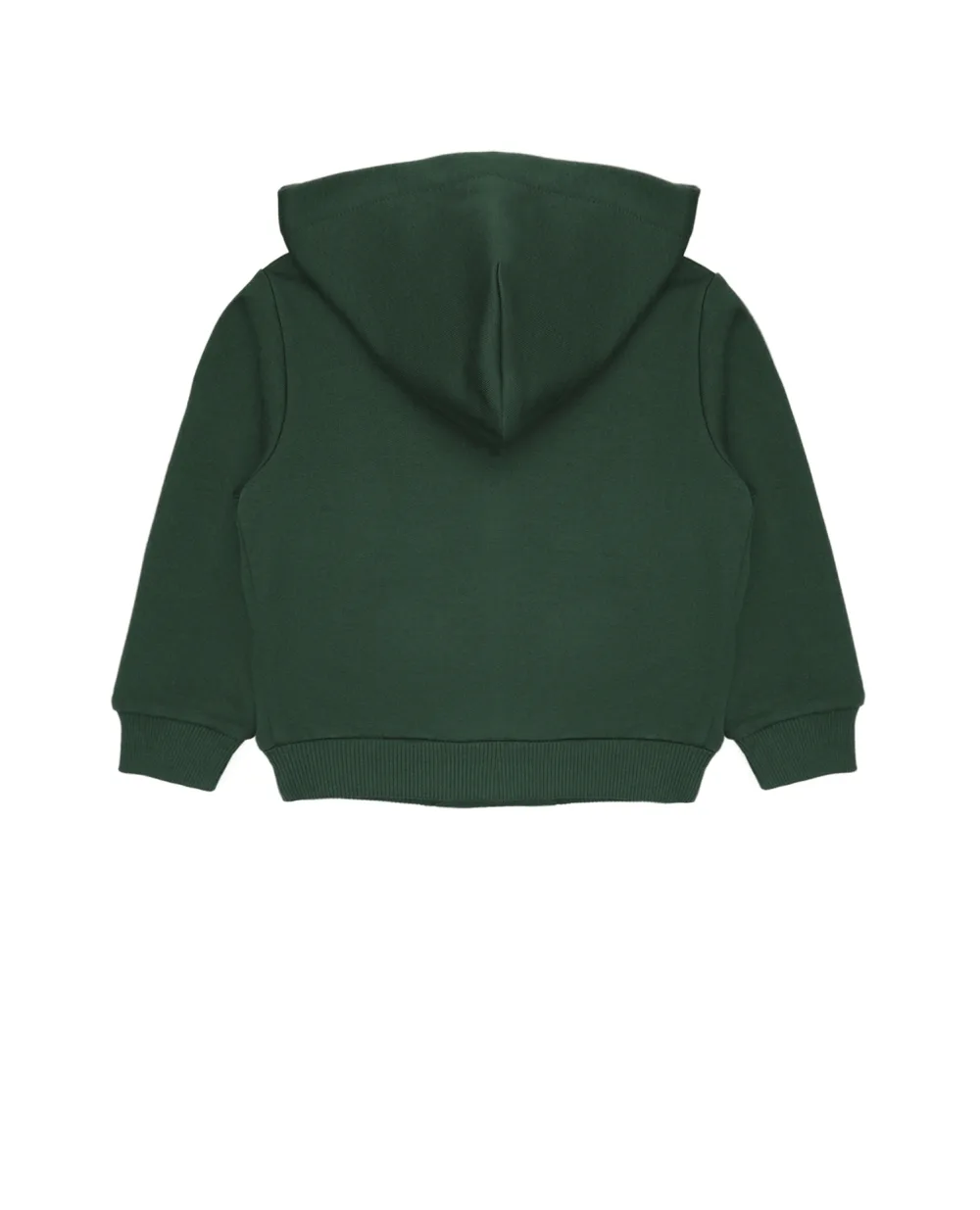 Худи Dolce&Gabbana Kids L4JW2V-G7OLJ-S-, зеленый цвет • Купить в интернет-магазине Kameron