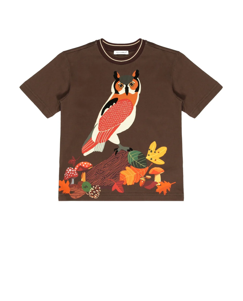 Футболка Dolce&Gabbana Kids L4JT9A-G7XNC-B, коричневый цвет • Купить в интернет-магазине Kameron