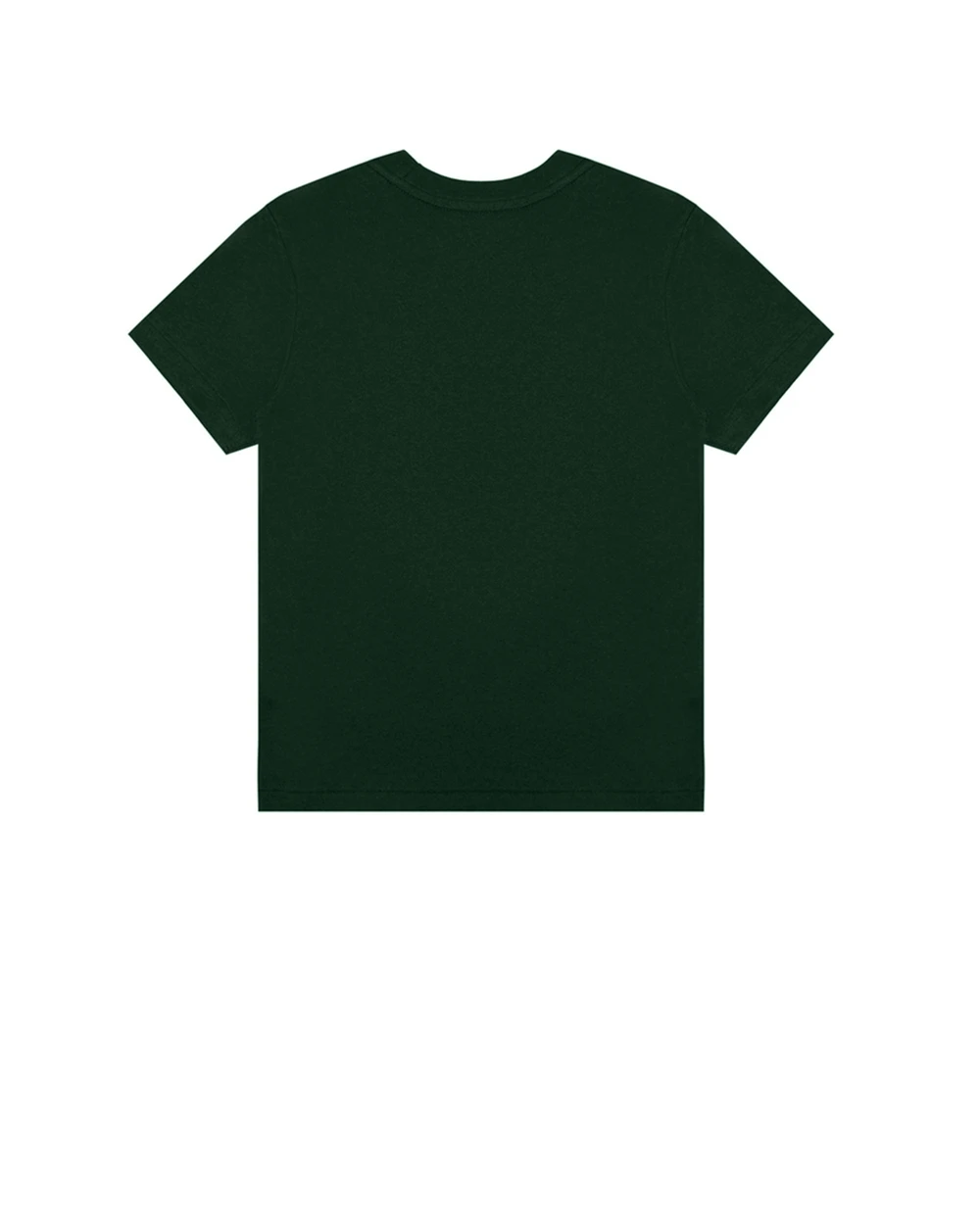 Детская футболка Polo Ralph Lauren Kids 322853828006, зеленый цвет • Купить в интернет-магазине Kameron