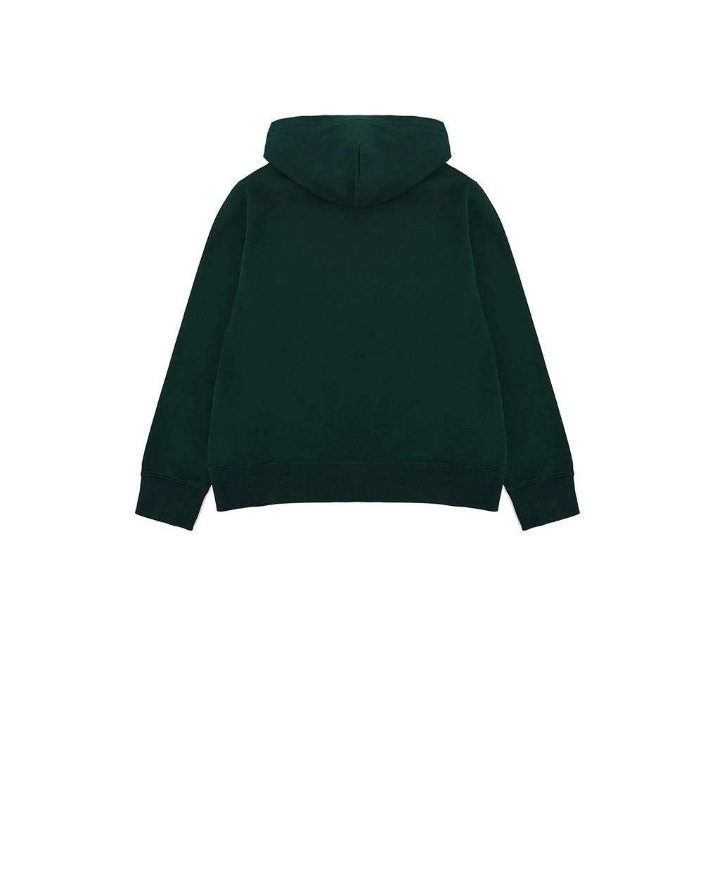 Детское худи Polo Bear Polo Ralph Lauren Kids 323960440003, зеленый цвет • Купить в интернет-магазине Kameron