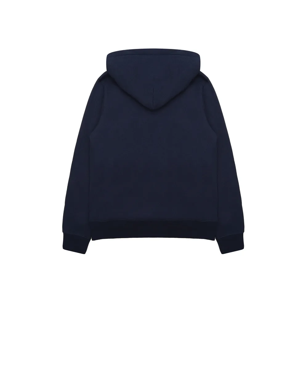 Худи Polo Ralph Lauren Kids 321853795003, синий цвет • Купить в интернет-магазине Kameron