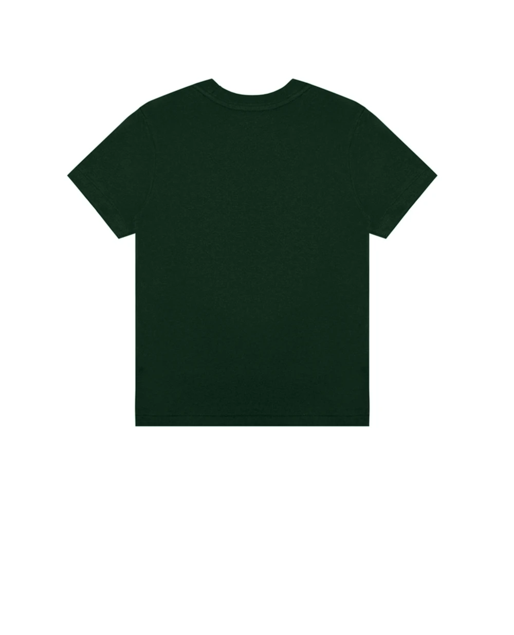 Детская футболка Polo Ralph Lauren Kids 323853828006, зеленый цвет • Купить в интернет-магазине Kameron