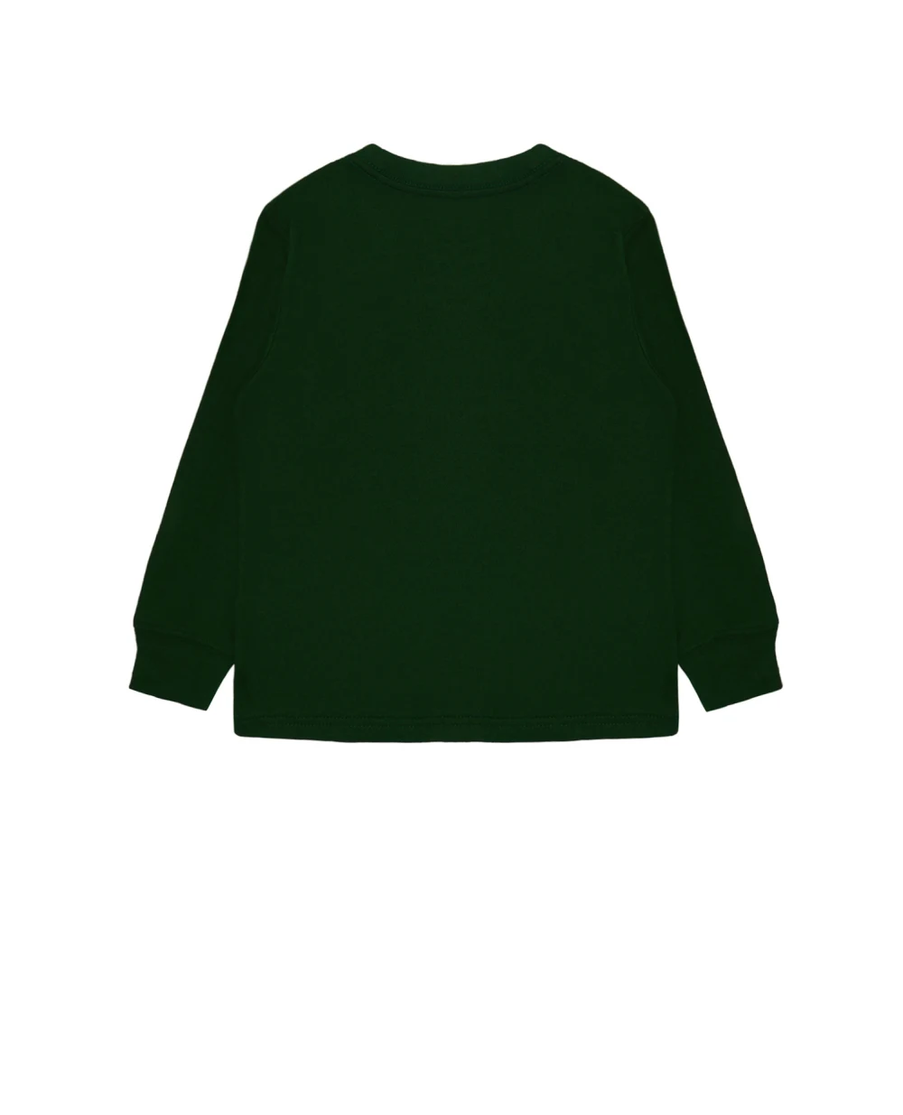 Лонгслив Polo Ralph Lauren Kids 321852014004, зеленый цвет • Купить в интернет-магазине Kameron