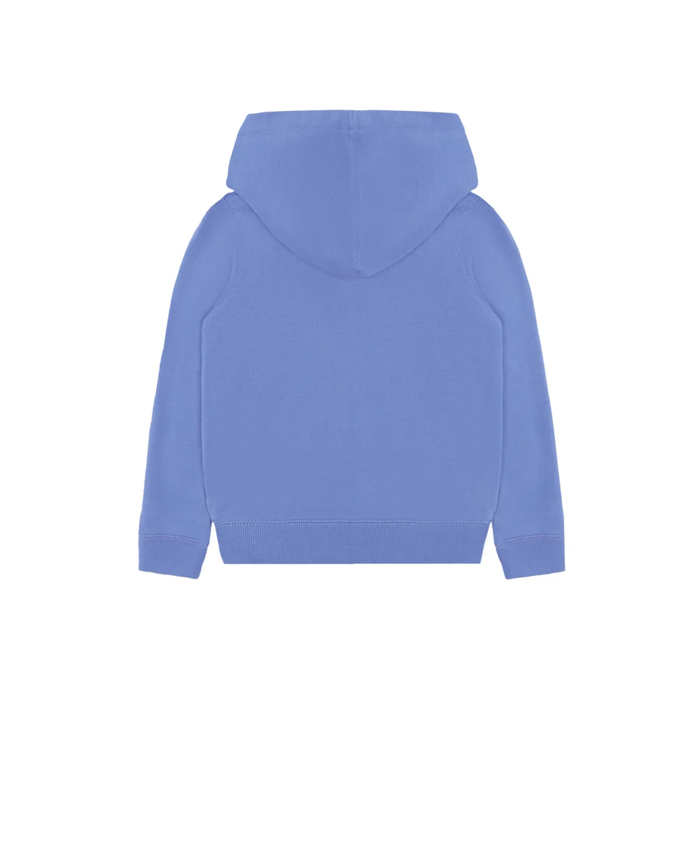 Детское худи Polo Bear Polo Ralph Lauren Kids 312853426001, голубой цвет • Купить в интернет-магазине Kameron