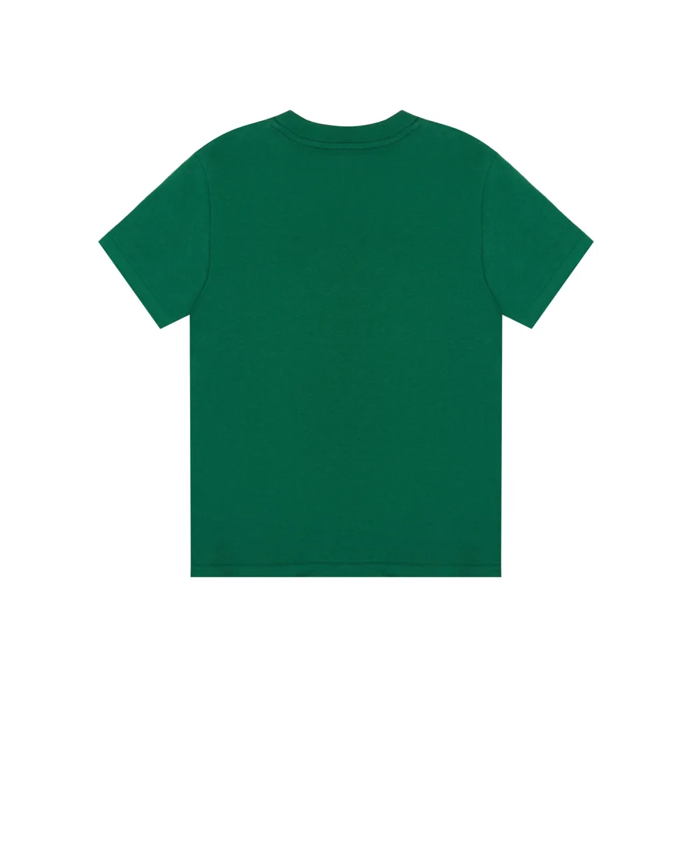 Футболка Polo Ralph Lauren Kids 322838244001, зеленый цвет • Купить в интернет-магазине Kameron