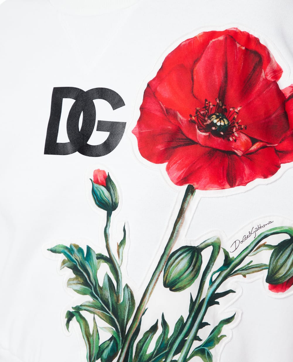Свитшот Dolce&Gabbana F9L05Z-G7G8R, белый цвет • Купить в интернет-магазине Kameron