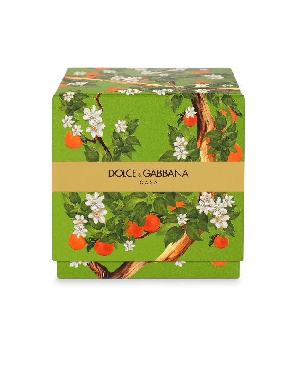 Свеча Dolce&Gabbana TCC087-TCAIU, зеленый цвет • Купить в интернет-магазине Kameron