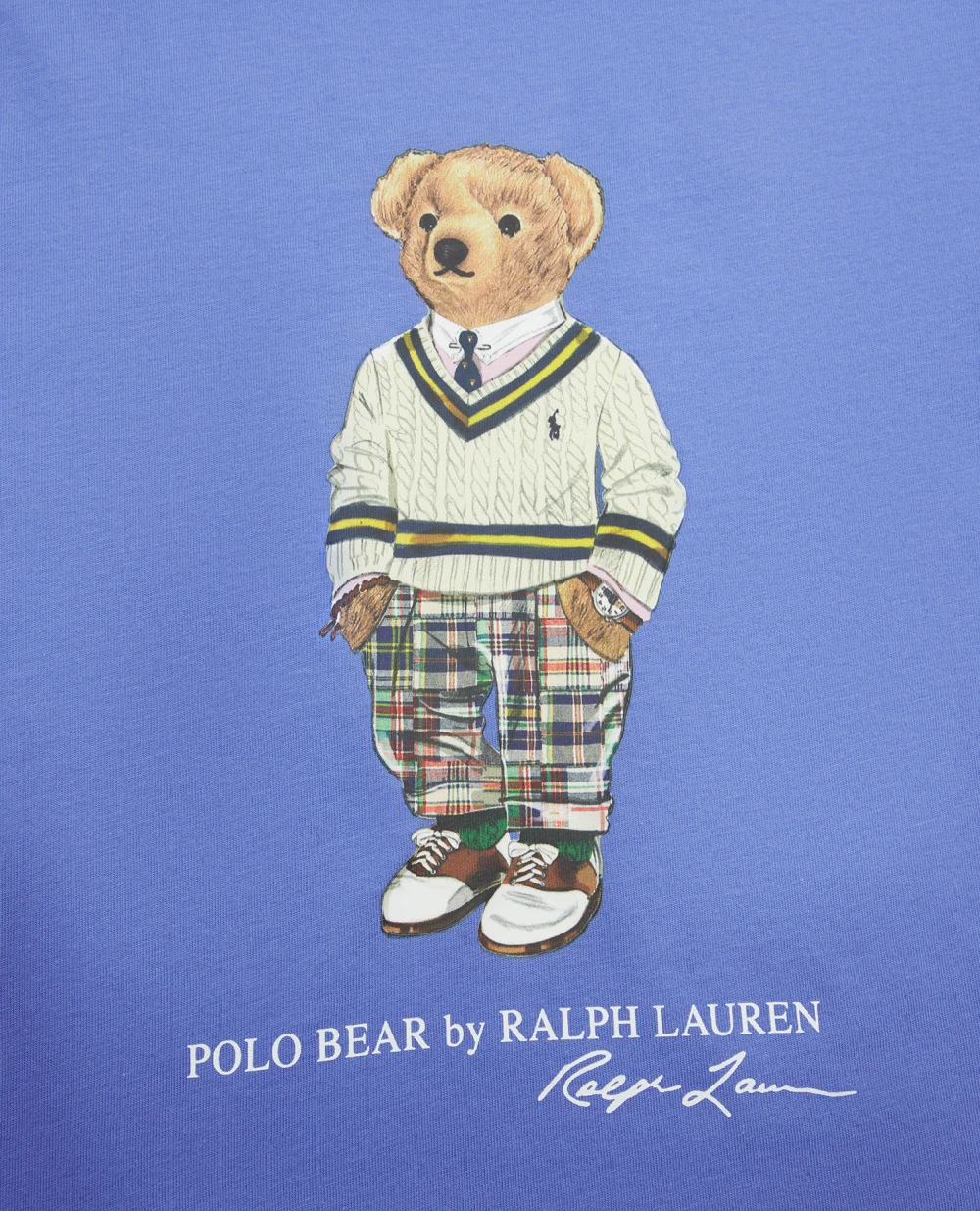 Детская футболка Polo Bear Polo Ralph Lauren Kids 322853828015, голубой цвет • Купить в интернет-магазине Kameron
