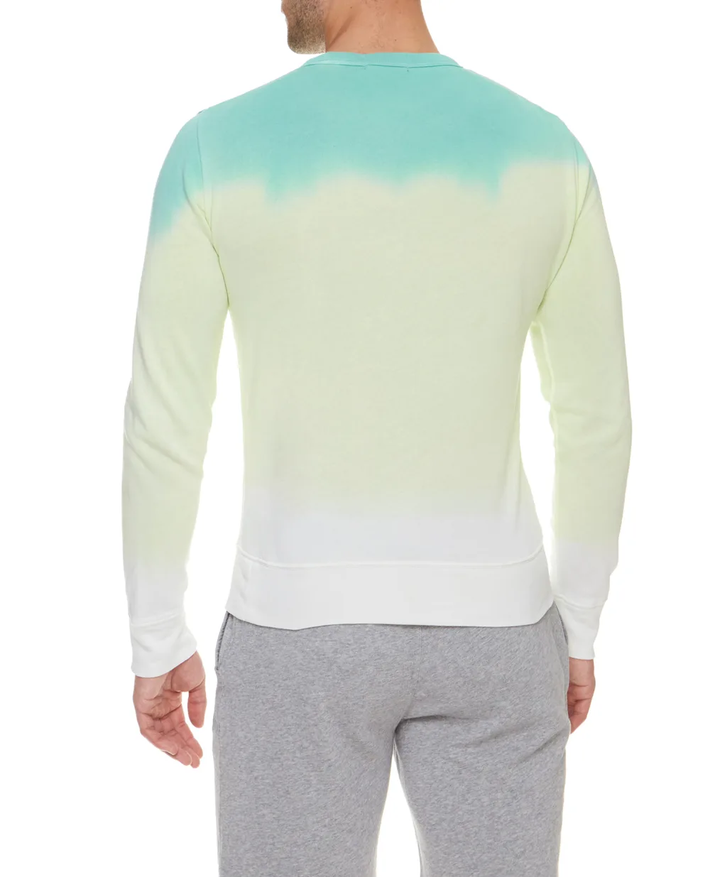 Свитшот Polo Ralph Lauren 710835736001, разноцветный цвет • Купить в интернет-магазине Kameron