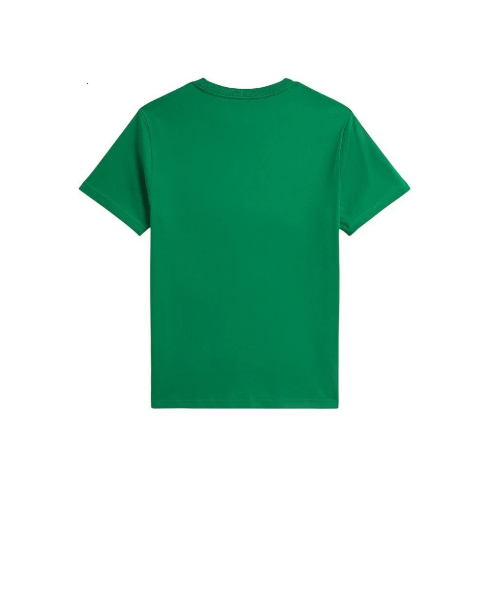 Детская футболка Polo Bear Polo Ralph Lauren Kids 323A96607001, зеленый цвет • Купить в интернет-магазине Kameron