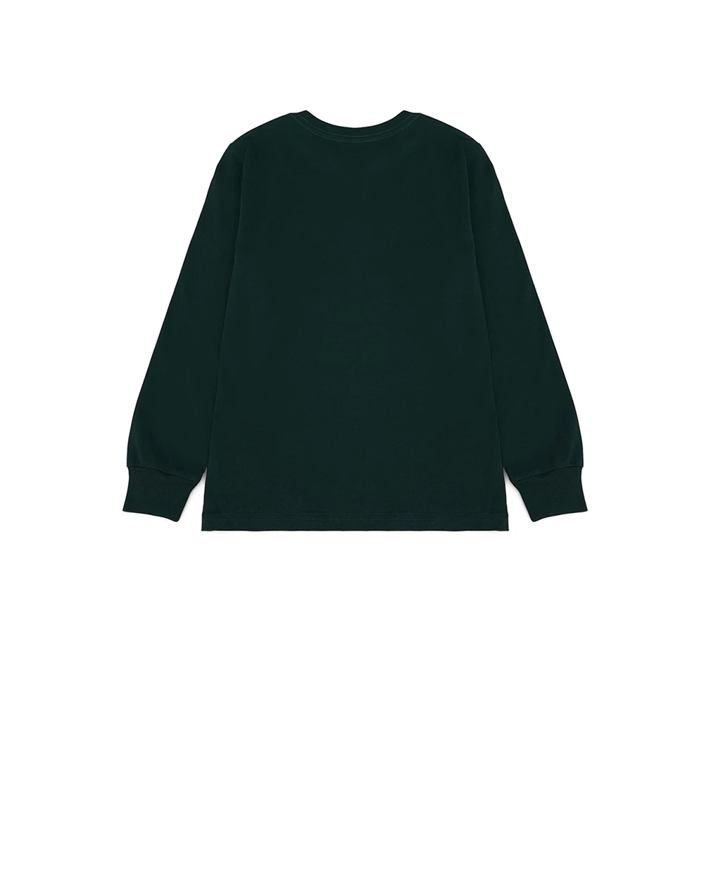 Детский лонгслив Polo Bear Polo Ralph Lauren Kids 323883620009, зеленый цвет • Купить в интернет-магазине Kameron