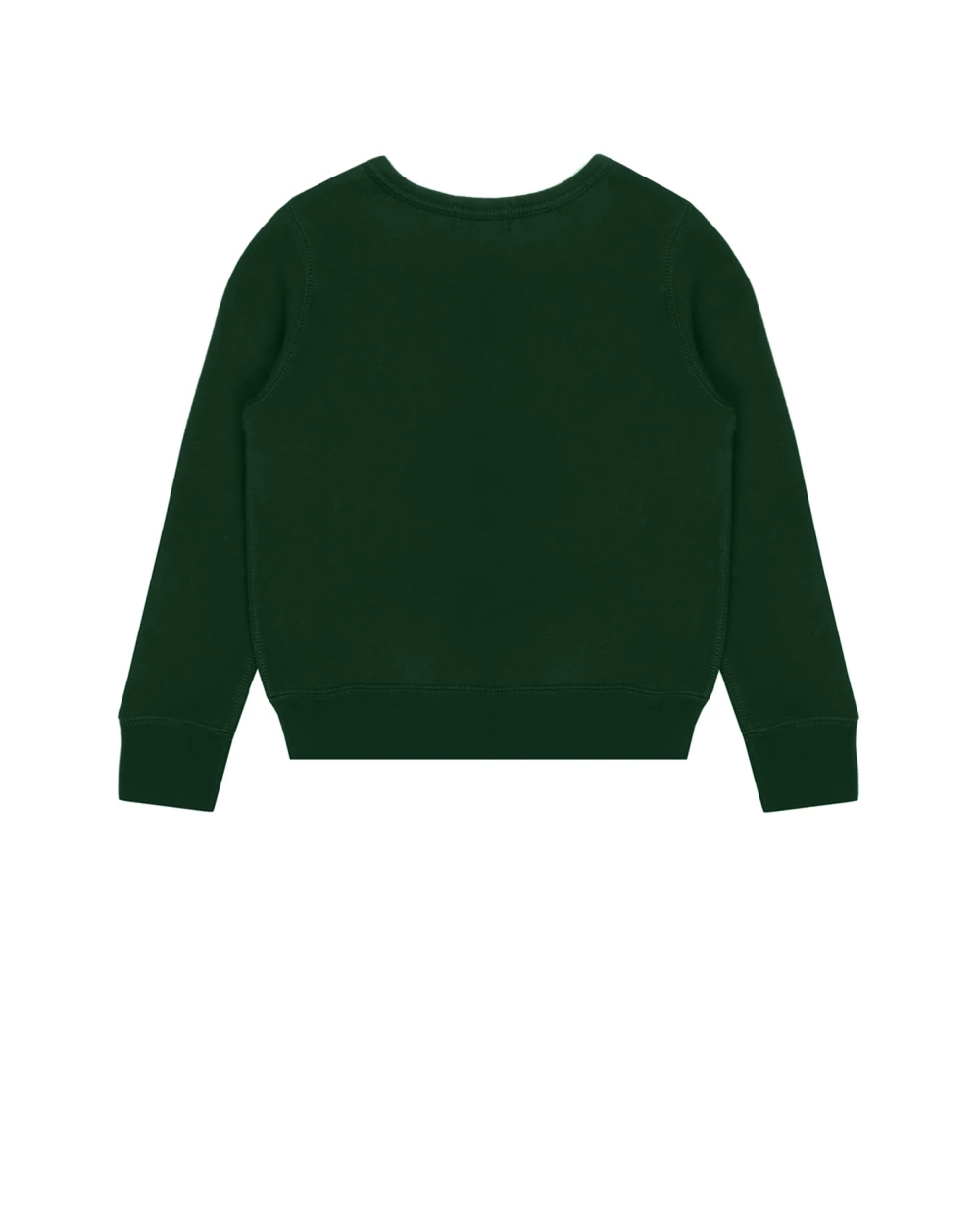 Свитшот Polo Ralph Lauren Kids 323853796004, зеленый цвет • Купить в интернет-магазине Kameron