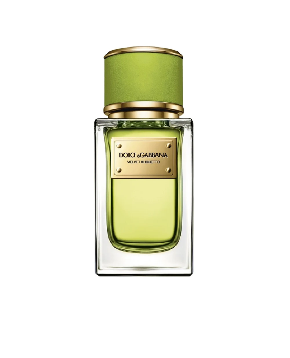 Парфюмированная вода Velvet Mughetto, 50 мл Dolce&Gabbana 31449500000ВЕЛ.МЮГЕТО, разноцветный цвет • Купить в интернет-магазине Kameron