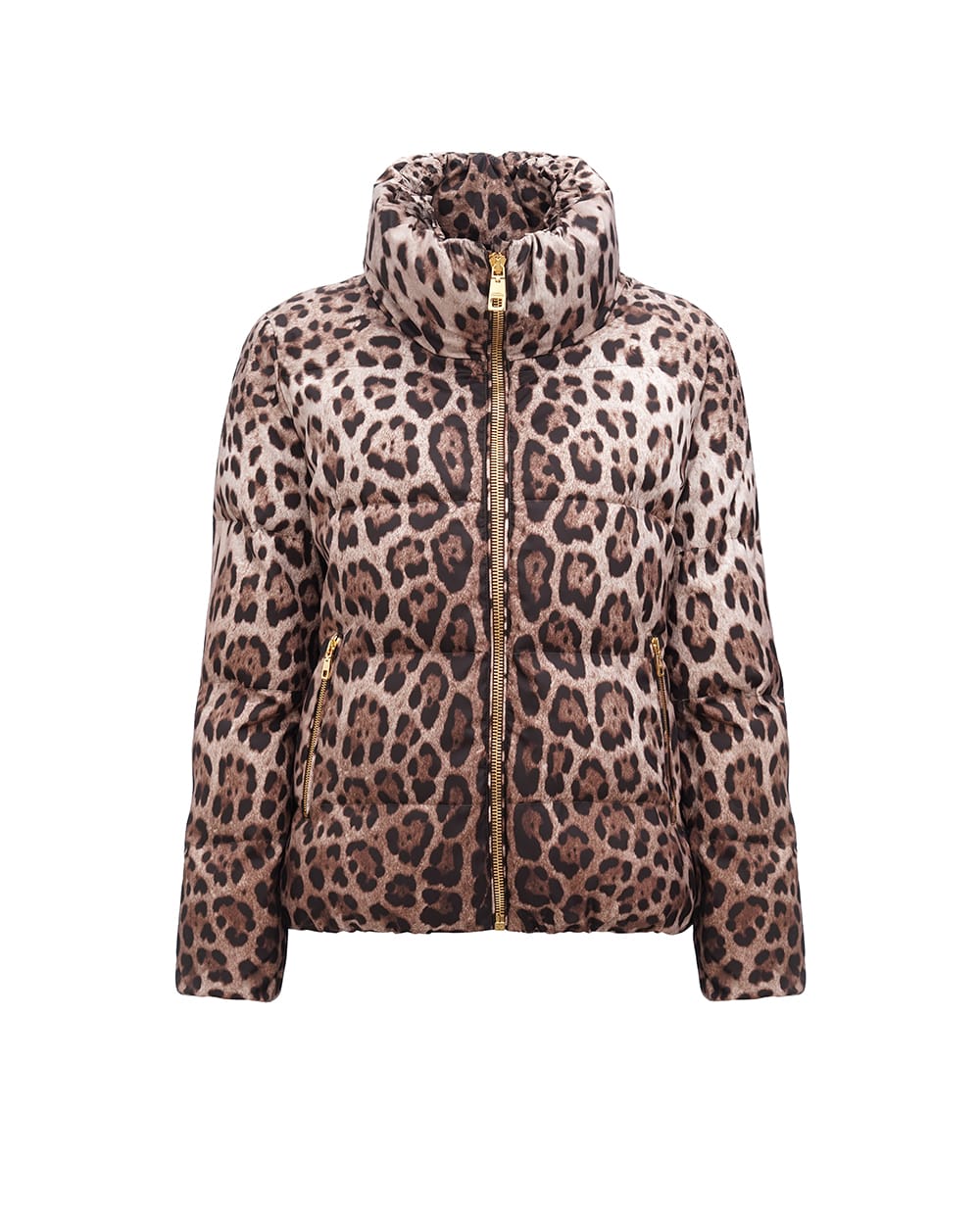 Пуховик Dolce&Gabbana F9R11T-HSMW8, коричневый цвет • Купить в интернет-магазине Kameron