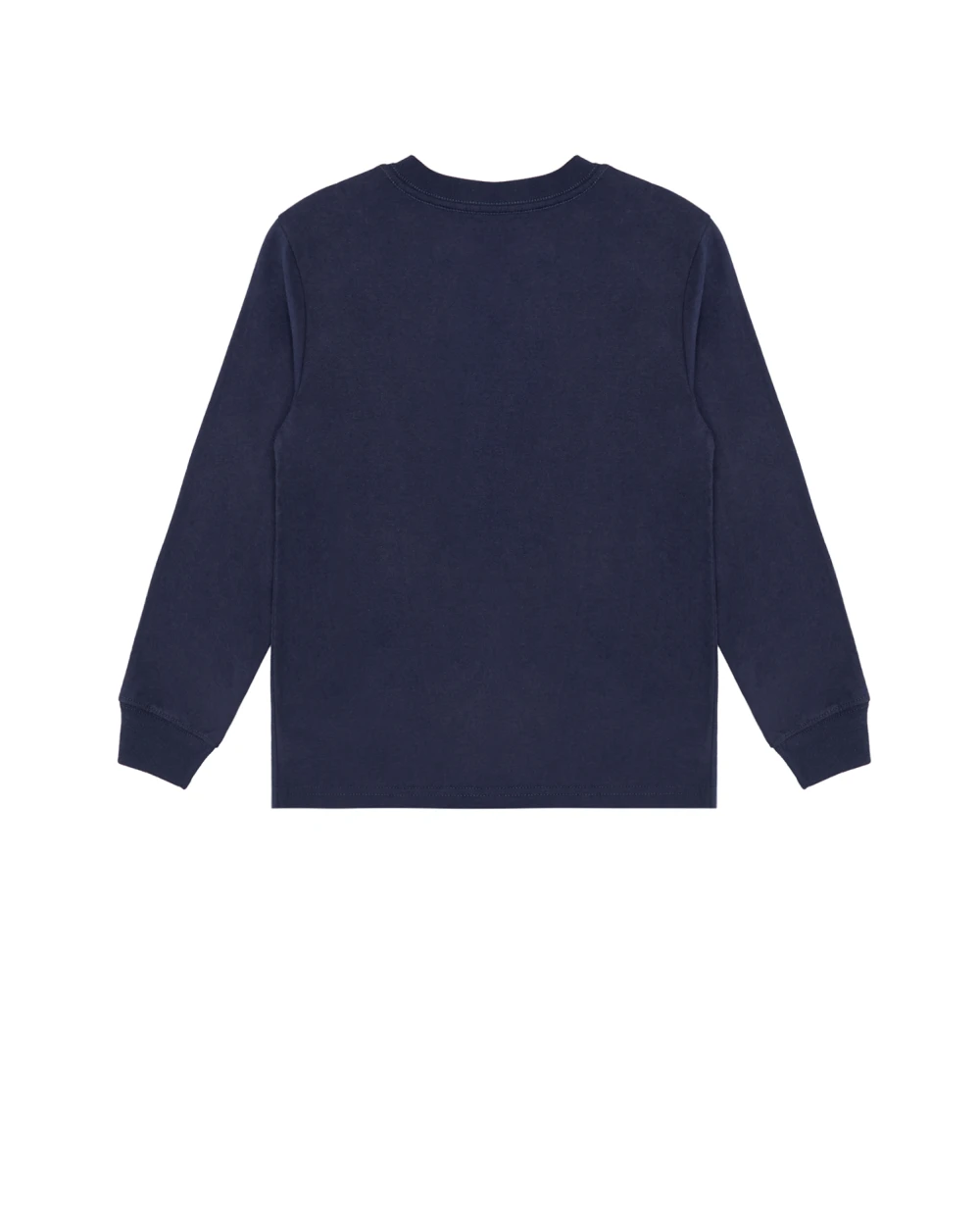 Лонгслив Polo Ralph Lauren Kids 322853792002, синий цвет • Купить в интернет-магазине Kameron