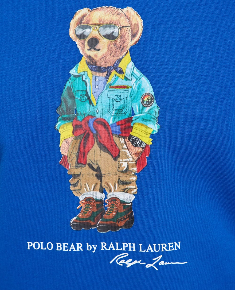 Худи Polo Ralph Lauren 710853309022, синий цвет • Купить в интернет-магазине Kameron