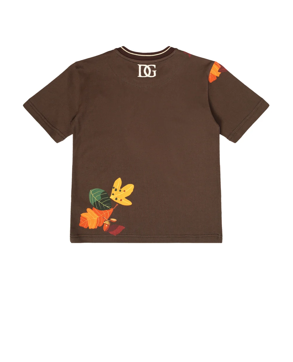Футболка Dolce&Gabbana Kids L4JT9A-G7XNC-B, коричневый цвет • Купить в интернет-магазине Kameron