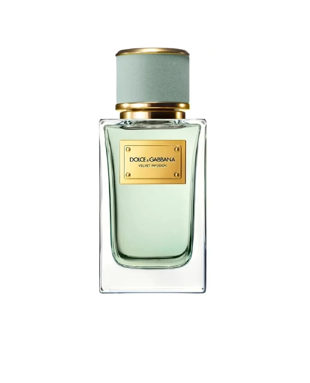 Парфюмированная вода Velvet Infusion, 100 мл Dolce&Gabbana P1CO1C14- ІНФ`ЮЖН, разноцветный цвет • Купить в интернет-магазине Kameron