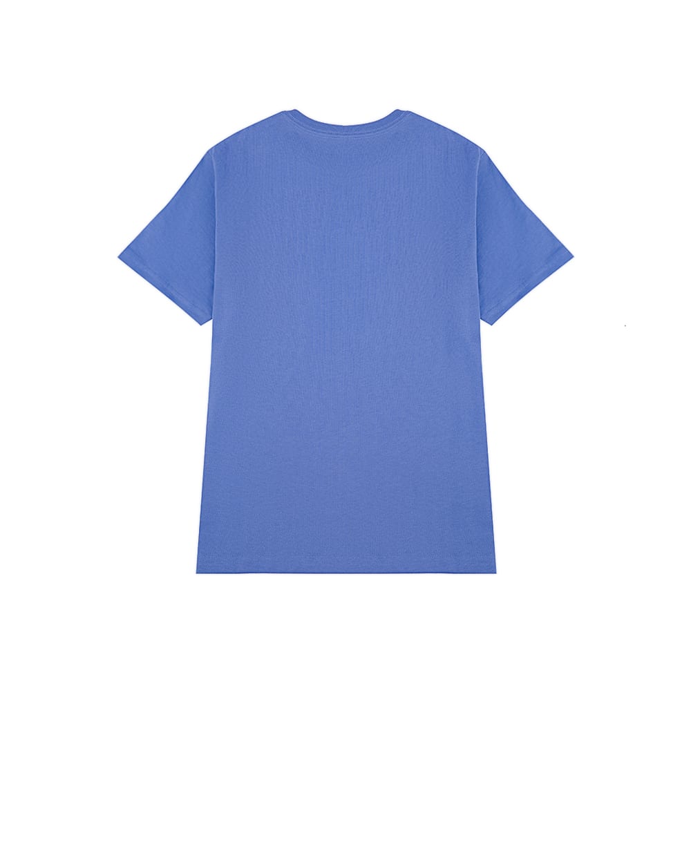 Детская футболка Polo Bear Polo Ralph Lauren Kids 322973136001, синий цвет • Купить в интернет-магазине Kameron