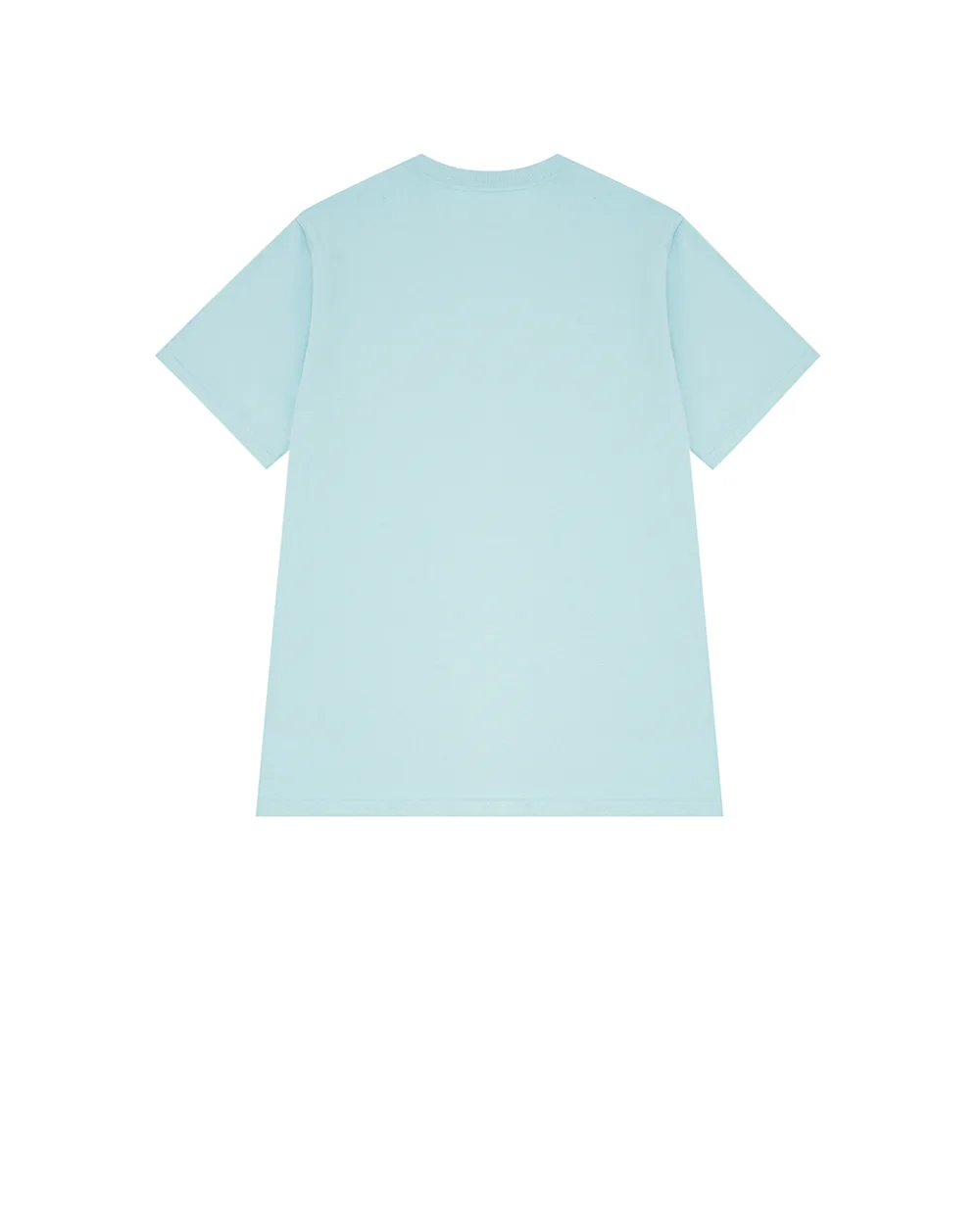Детская футболка Polo Ralph Lauren Kids 323832904180, голубой цвет • Купить в интернет-магазине Kameron