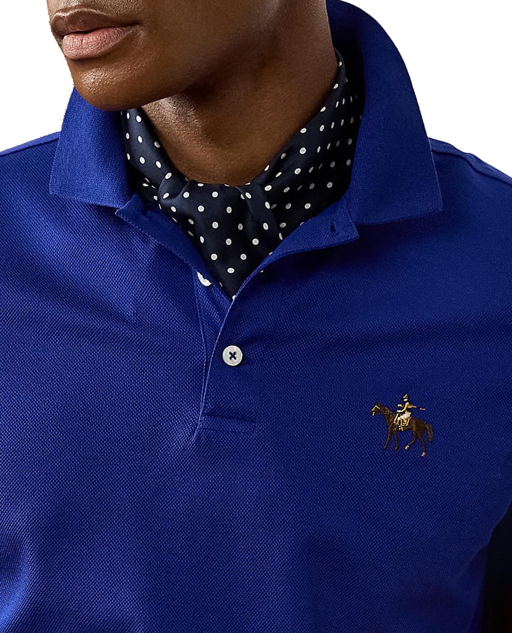 Поло Ralph Lauren Purple Label 790508036105, синій колір • Купити в інтернет-магазині Kameron