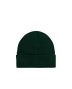 Polo Ralph Lauren Детская шапка Polo Bear - Артикул: 323980658001
