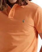 Polo Ralph Lauren Поло - Артикул: 710680784465
